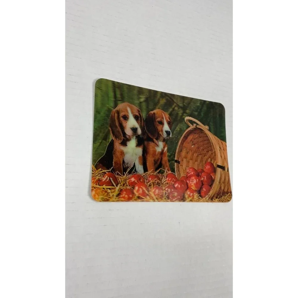 Beagle Puppies Apples Cute Dogs‎ 3-D 3D Postcard Unposted Vari-Vue 1960s Vintage